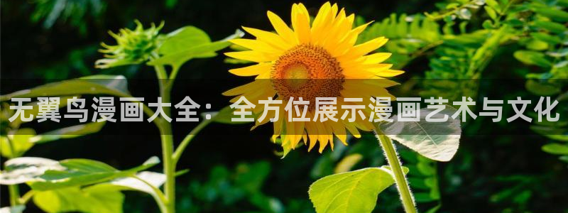 歪歪漫画网入口